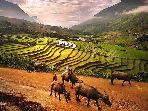 7 Days Classic North Vietnam Adventure