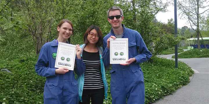 Panda Volunteer Keeper Certificate at Dujiangyan Panda Base