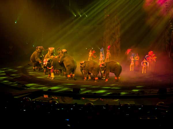 Watch Chimelong International Circus