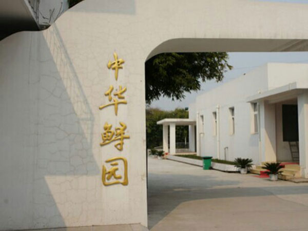 Chinese Sturgeon Museum