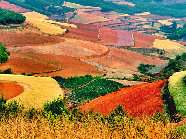 6 Days Dongchuan Red Land Tour