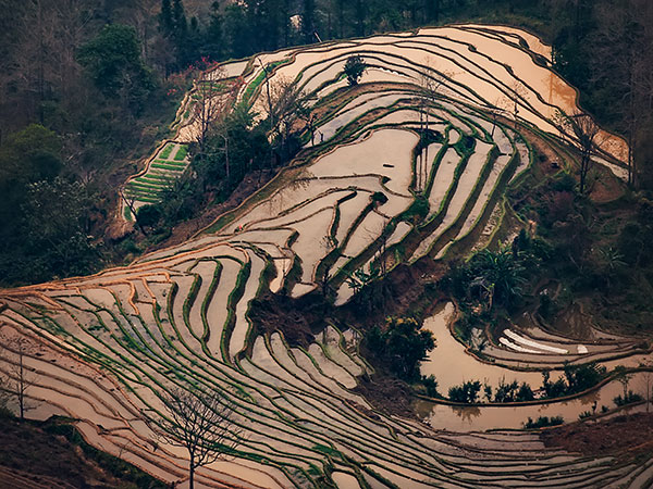 7 Days Yuanyang Rice Terraces Tour