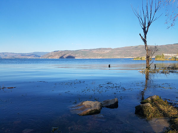 Erhai lake