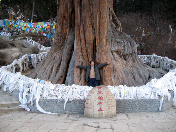 Huge Cypress Nature Reserve