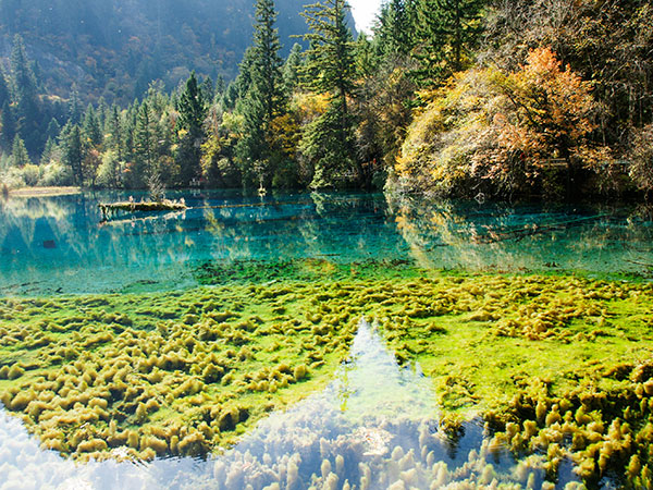 Long Lake in Jiuzhaigou Valley