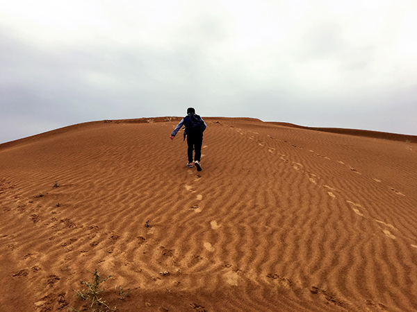 Kubuqi Desert