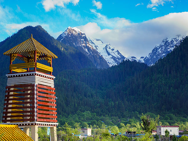 Linzhi Spruce Forest of Bomigang Village