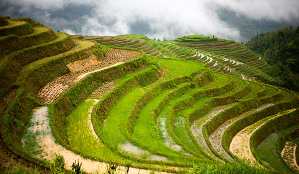 Had a Hiking Tour in Longji Rice Terrace