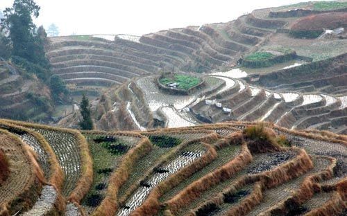 My Longji Terraced Fields Trekking Trip