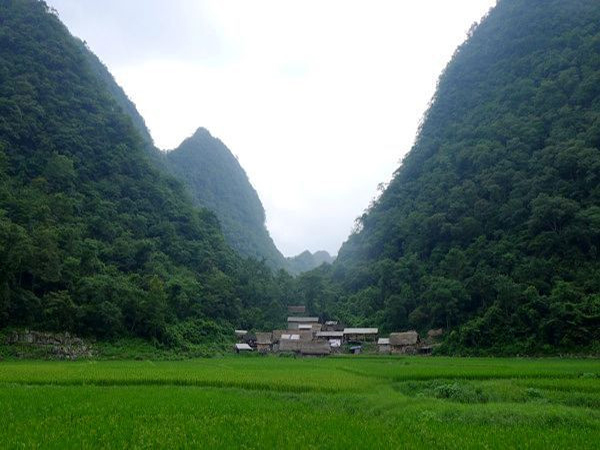 Maolan Karst Forest in Libo