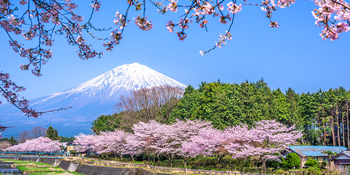 Mt. Fuji