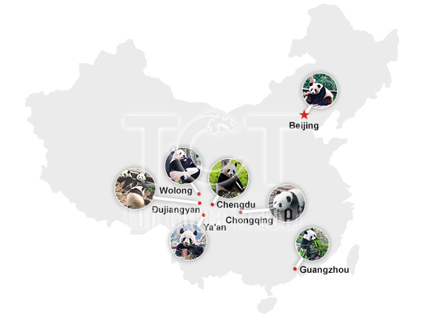 Best Places to See Giant Pandas in China