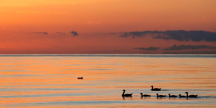 Qinghai Lake