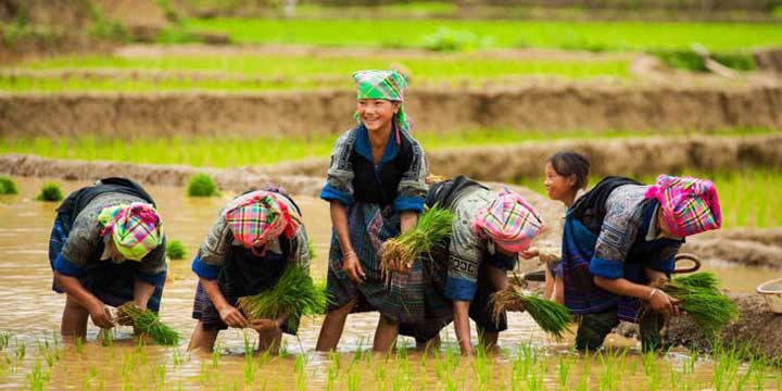 Sapa Ta Van Village