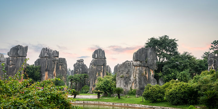 Stone Forest