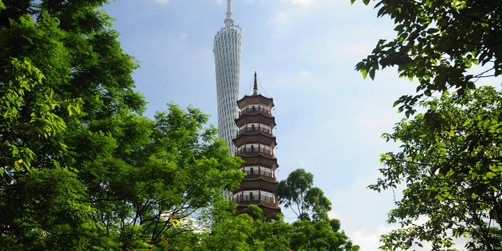 Temple of Six Banyan Trees