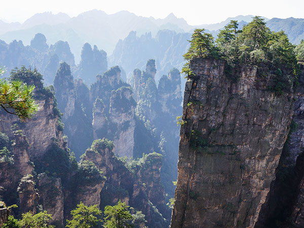 Yangjiajie Scenic Area