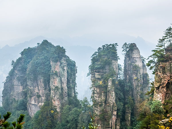 Yuanjiajie Scenic Area