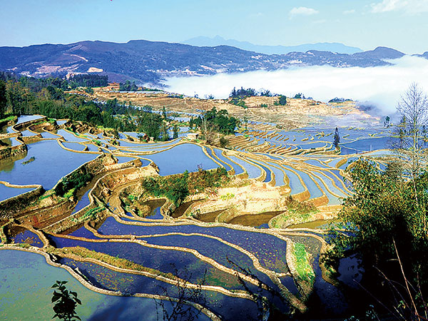 Yuanyang