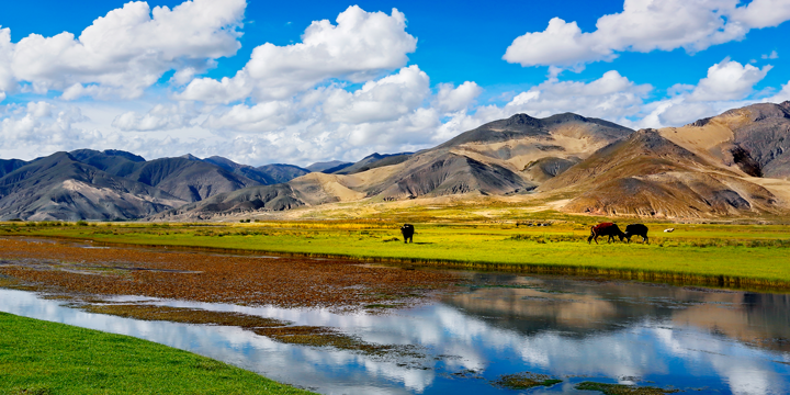 tibet landscape